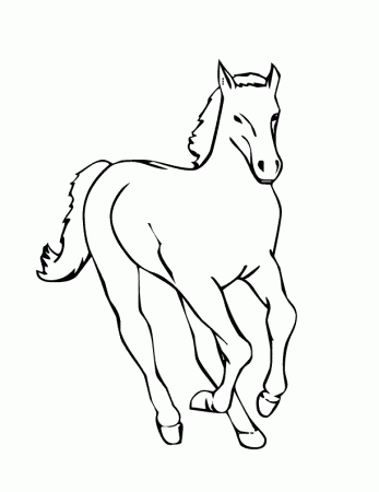 Coloring Pages: baby horse coloring page baby horse colouring sheet