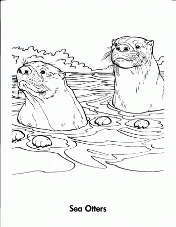 Viewing Gallery For Cartoon Otter 100824 River Otter Coloring Page