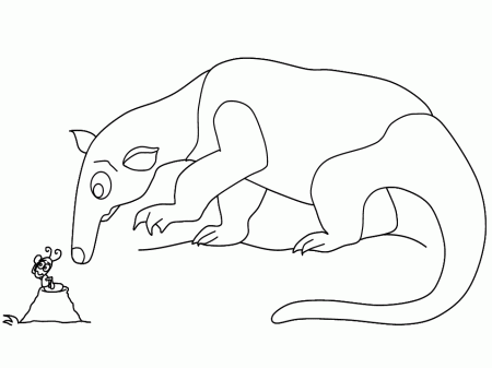 Anteater coloring pages | Coloring-