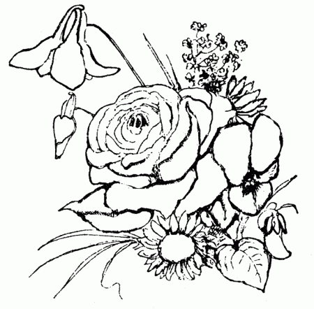 Flower Coloring Pages For Adults Printable Images & Pictures - Becuo