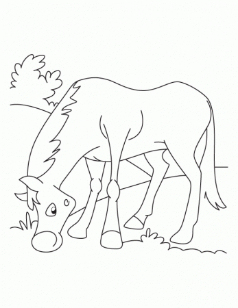 Grazing horse coloring pages | Download Free Grazing horse 