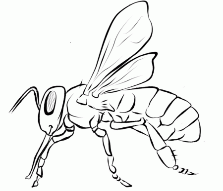 23 FREE Bee Clip Art Drawings and Colorful Images