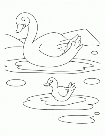 Duck with duckling coloring pages | Download Free Duck with 