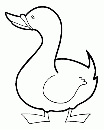 Printable Cute Duck Coloring Pages - Animals Coloring : oColoring.