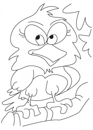 Cute Owl Coloring Pages Free Printable Cute Owl Baby Shower And