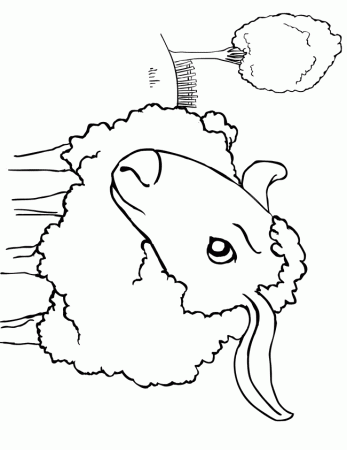 narwhal coloring page and printable for kids