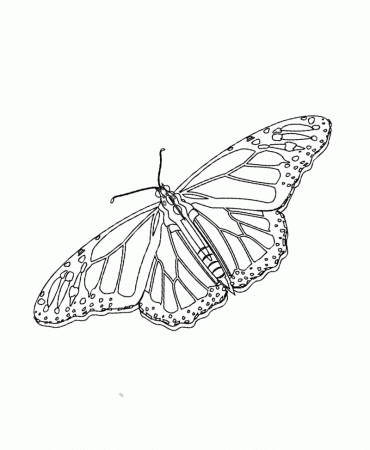 Monarch Butterfly Unique And Is Cool Coloring Page - Butterfly 