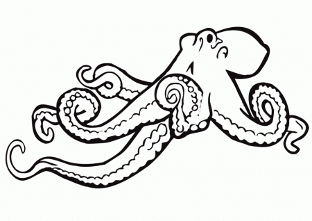 Octopus Coloring Page | Coloring Pages