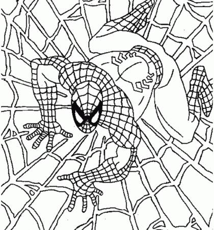 Spiderman-coloring-page |coloring pages for adults,coloring pages 
