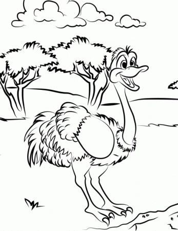 Best Ostrich Coloring Page By Pastorroy Djfkf | Laptopezine.