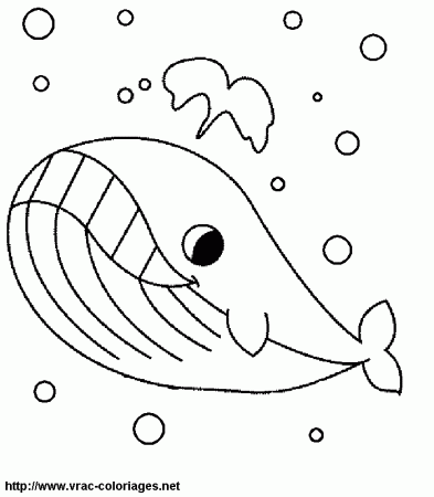 10张如何画卡通大鲸鱼简笔画How to draw a cartoon whale - 高中作文-