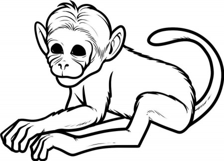 Animal Coloring Related Printable Monkey Coloring Pages For Kids 