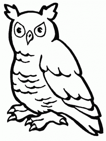 Owls Coloring Pages 203166 Charlie And The Chocolate Factory 
