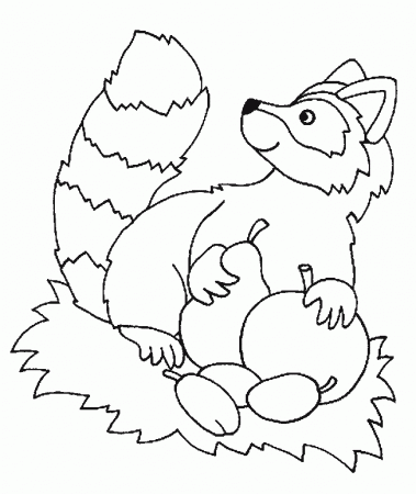 Nocturnal animal masks Colouring Pages