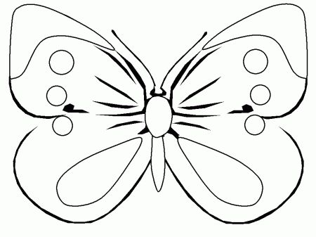 real butterflies Colouring Pages (page 2)