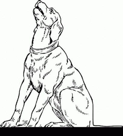 Funny Little Dog Coloring Pages for Kids - Animal Coloring Pages 
