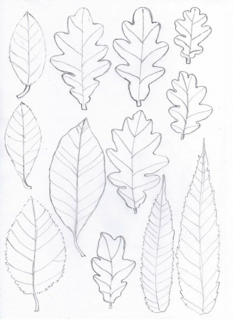 leaf templates | Printables
