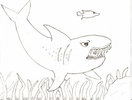 Images For Gt Word World Coloring Pages Shark 279677 San Jose 