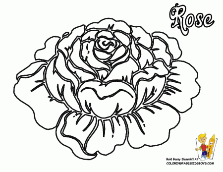 Free Rose Coloring Pages : Coloring Book Area Best Source for 