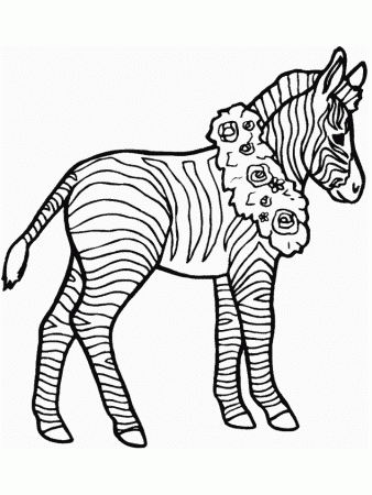American Girl Coloring Pages – 1500×1200 Coloring picture animal 