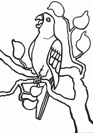 big parrots Colouring Pages (page 3)
