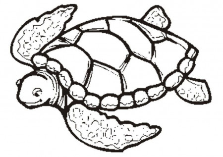 Sea Turtle Coloring Page - Free Coloring Pages For KidsFree 