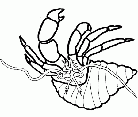 Printable Crab coloring - Animals Town - animals color sheet 