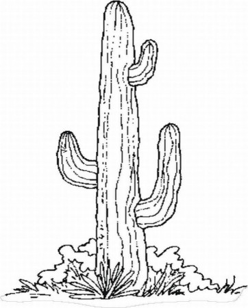 cartoon cactuses Colouring Pages