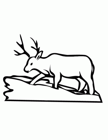 eps 15 deer printable coloring in pages for kids - number 2866 online