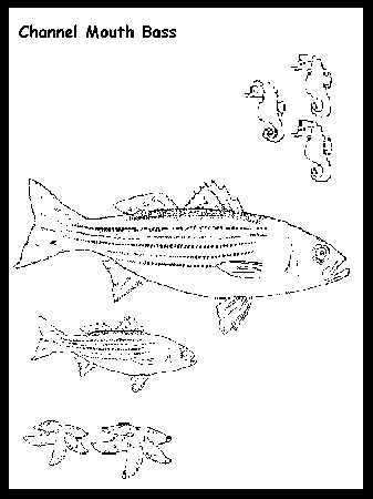 Bass Colouring Pages (page 3)
