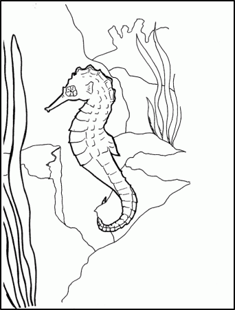 and seahorses Colouring Pages (page 3)