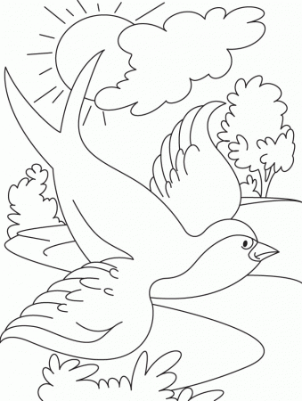 Swallow bird flying coloring page | Download Free Swallow bird 