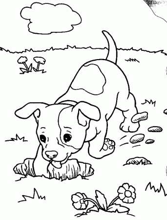Funny Little Dog Coloring Pages for Kids - Animal Coloring Pages 