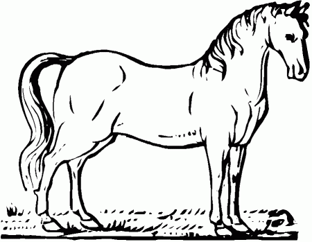 horse for Colouring Pages
