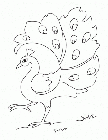 A dancing peacock coloring page | Download Free A dancing peacock 