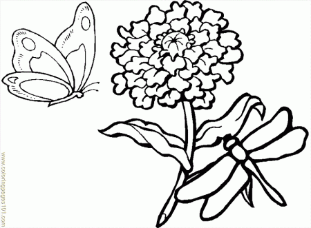 angel fish coloring page lucy learns print out pages
