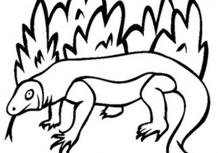 Newest Coloring Pages Of Komodo Dragon In Bushes High Res 