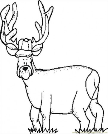 Coloring Pages Deer (Entertainment > Others) - free printable 
