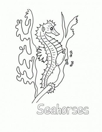 Free Printable Seahorse Coloring Pages For Kids