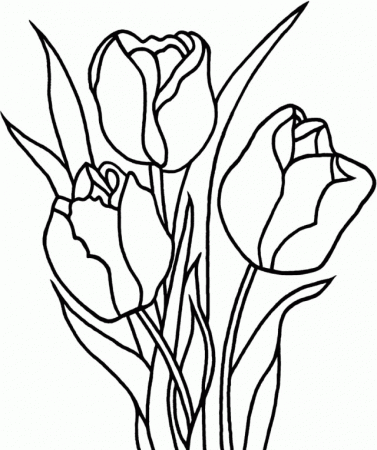Printable Tulip Coloring Pages For Kids | Laptopezine.