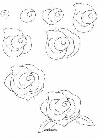 Rose Draw | Home Design