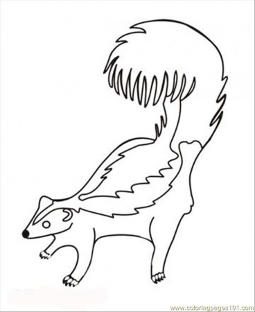 Coloring Pages 29 Skunk (Animals > Mammals) - free printable 