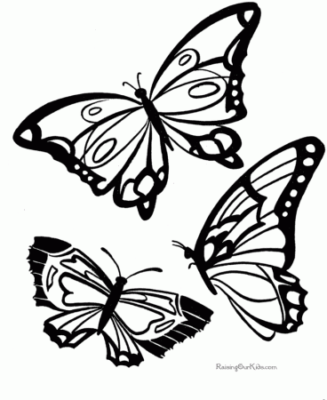 free-coloring-pages-butterfly- 