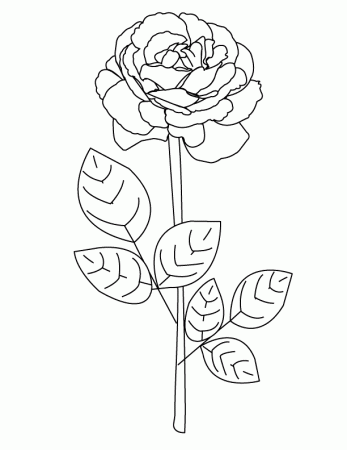 Coloring Pages For Roses | Best Coloring Pages