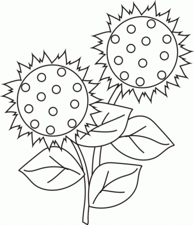 sunflower-coloring-pages-52grw618 - HD Printable Coloring Pages