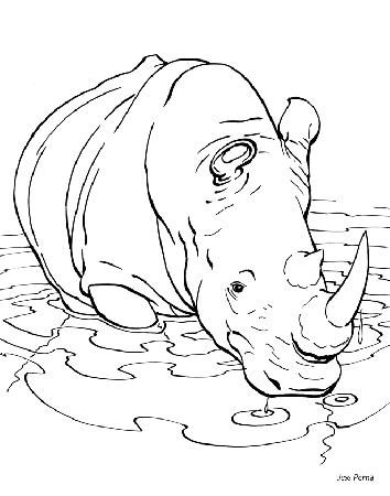 amazing rhino coloring pages for kids | Best Coloring Pages
