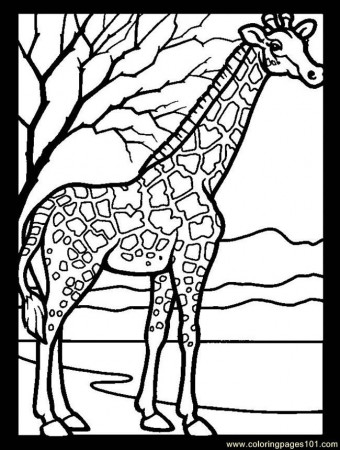 Coloring Pages Giraffe 39 (Mammals > Giraffe) - free printable 