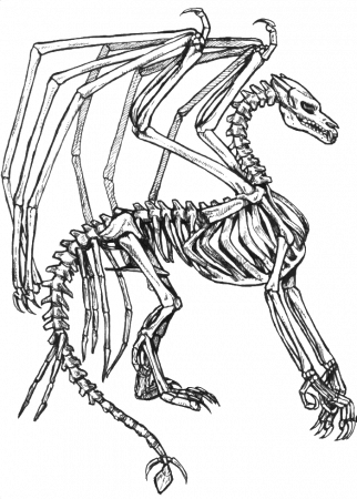 Skeleton Bone Dragon Coloring Pages - Dragon Coloring Pages : Free 