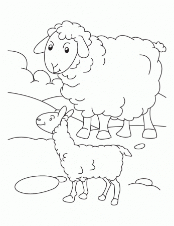 Mother sheep with its lamb coloring page | Download Free Mother 