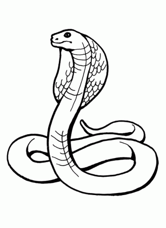1334 ide Snake-Coloring-Page-Pictures Best Coloring Pages Download